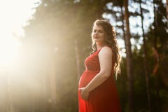 Young pregnant woman in red dress in summer royalty free stock photography Young pregnant woman in red dress in summer royalty free stock photography