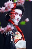 Young Pretty Geisha In Kimono Stock Photography