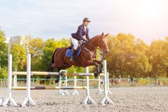 Young rider girl on horse show jumping competition Stock Photography Young rider girl on horse show jumping competition Stock Photography
