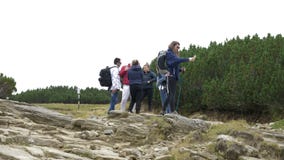 Young student woman on mountain trip with her friends using smartphone in nature checking for no network signal - stock footage Young student woman on mountain trip with her friends using smartphone in nature checking for no network signal - stock footage