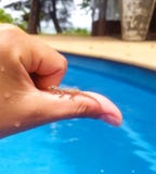 Young tiny bearded dragon lizard in human hand sitting on thumb finger stock images Young tiny bearded dragon lizard in human hand sitting on thumb finger stock images