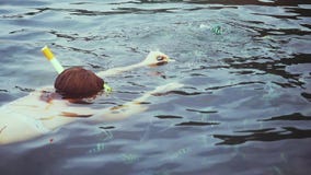 Young traveler woman snorkeling in mask feeding fish in the sea. slow motion. 1920x1080 stock footage Young traveler woman snorkeling in mask feeding fish in the sea. slow motion. 1920x1080 stock footage