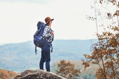 Young Travelling Woman Looking On Great Forest royalty free stock photo Young Travelling Woman Looking On Great Forest royalty free stock photo
