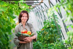 Young woman with basket of greenery and vegetables in the greenhouse. Time to harvest. royalty free stock photography Young woman with basket of greenery and vegetables in the greenhouse. Time to harvest. royalty free stock photography