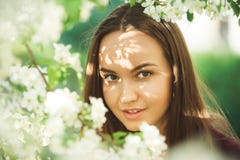 Young woman with clean skin near a blooming apple tree. gentle portrait of girl in spring park. royalty free stock photos Young woman with clean skin near a blooming apple tree. gentle portrait of girl in spring park. royalty free stock photos