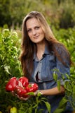 Young woman with a handful of red paprika royalty free stock photos Young woman with a handful of red paprika royalty free stock photos