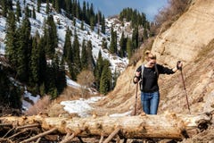 Young woman with walking sticks overcomes an obstacle - a fallen tree on a trail stock photo Young woman with walking sticks overcomes an obstacle - a fallen tree on a trail stock photo