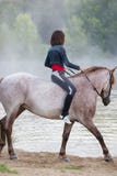 Young woman on a white horse about to go into the lake royalty free stock photography Young woman on a white horse about to go into the lake royalty free stock photography