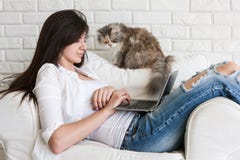 Young woman works on laptop and her cat nearby stock photo Young woman works on laptop and her cat nearby stock photo