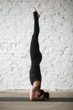 Young yogi woman in salamba sirsasana pose, white loft backgroun royalty free stock images Young yogi woman in salamba sirsasana pose, white loft backgroun royalty free stock images