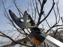 Yrkesm?ssig pruner med tensioneren och kedja f?r att klippa tr?d mot himlen royaltyfri bild Yrkesm?ssig pruner med tensioneren och kedja f?r att klippa tr?d mot himlen royaltyfri bild