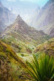 Yucca Plants And Sugar Cane On Trekking Path Way Towards Mountain Peak Of Xo-xo Valley. Santo Antao Island, Cape Verde Stock Photo