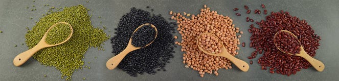 Zaden beansBlack Boon, Rode Boon, Pinda en Mung Boon nuttig voor gezondheid in houten lepels op grijze achtergrond stock afbeeldingen Zaden beansBlack Boon, Rode Boon, Pinda en Mung Boon nuttig voor gezondheid in houten lepels op grijze achtergrond stock afbeeldingen