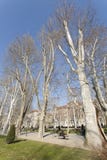 ZAGREB, CROATIE - MARS 2015 : Parc de Zrinjevac un matin ensoleillé d'hiver images libres de droits ZAGREB, CROATIE - MARS 2015 : Parc de Zrinjevac un matin ensoleillé d'hiver images libres de droits