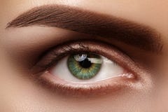 Zakończenia makro- piękny żeński oko z perfect kształt brwiami Czysta skóra, fasonuje naturalnego dymiącego makijaż Dobry wzrok fotografia royalty free Zakończenia makro- piękny żeński oko z perfect kształt brwiami Czysta skóra, fasonuje naturalnego dymiącego makijaż Dobry wzrok fotografia royalty free