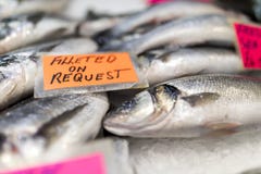 Zakończenie dennego basu rozszerzanie się nad lodem na up wprowadzać na rynek rybi monger’s obrazy stock Zakończenie dennego basu rozszerzanie się nad lodem na up wprowadzać na rynek rybi monger’s obrazy stock