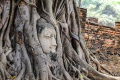 Zakończenie głowa Buddha statua w starym drzewie up zakorzenia zdjęcia stock Zakończenie głowa Buddha statua w starym drzewie up zakorzenia zdjęcia stock