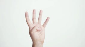 Zakończenie w górę odosobnionej żeńskiej ręki pokazuje pięści pięść jeden, wtedy, dwa, trzy, cztery, pięć palców ręki żeński licz zbiory wideo Zakończenie w górę odosobnionej żeńskiej ręki pokazuje pięści pięść jeden, wtedy, dwa, trzy, cztery, pięć palców ręki żeński licz zbiory wideo