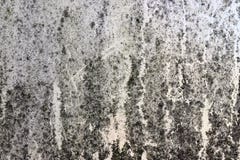 Zakończenie w górę szczegółowego widoku na klingeryt folii i klingerycie ukazuje się w wysoka rozdzielczość zdjęcie royalty free Zakończenie w górę szczegółowego widoku na klingeryt folii i klingerycie ukazuje się w wysoka rozdzielczość zdjęcie royalty free