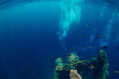 Zambullida del hombre de Freediver bajo el agua en el naufragio en Bali imagen de archivo Zambullida del hombre de Freediver bajo el agua en el naufragio en Bali imagen de archivo