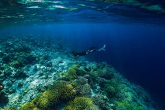 Zambullida libre en el océano, visión subacuática del buceador con la roca foto de archivo Zambullida libre en el océano, visión subacuática del buceador con la roca foto de archivo
