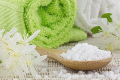 Zamyka up łyżka wypełniająca z białą kąpielową solą fotografia stock Zamyka up łyżka wypełniająca z białą kąpielową solą fotografia stock