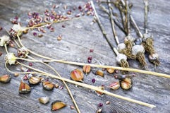 Zamyka w górę, odgórny strzał suchych skór czosnku żarówki, cloves, biel, pomarańcze, purpura kolory, nieociosany drewniany stoło obrazy stock Zamyka w górę, odgórny strzał suchych skór czosnku żarówki, cloves, biel, pomarańcze, purpura kolory, nieociosany drewniany stoło obrazy stock