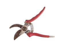 Zamyka w górę fotografii secateurs na białym tle Zdjęcia Royalty Free Zamyka w górę fotografii secateurs na białym tle Zdjęcia Royalty Free