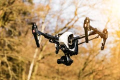 Zangão que voa perto da floresta fotografia de stock Zangão que voa perto da floresta fotografia de stock
