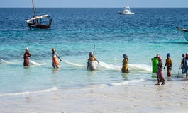 Zanzibar, Tanzania, East Africa - June 23, 2017: African women from a fishing village are catching small fish off the coast of the royalty free stock photo Zanzibar, Tanzania, East Africa - June 23, 2017: African women from a fishing village are catching small fish off the coast of the royalty free stock photo