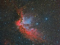 Zauberer-Nebelfleck NGC 7380 lizenzfreie stockfotografie Zauberer-Nebelfleck NGC 7380 lizenzfreie stockfotografie