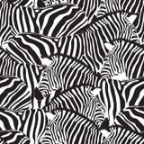 Zebra bezszwowy wzór ilustracja wektor Zebra bezszwowy wzór ilustracja wektor