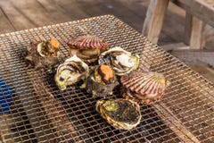 Zeevruchtenbarbecue - Oester en kammosselgrill Stock Afbeeldingen Zeevruchtenbarbecue - Oester en kammosselgrill Stock Afbeeldingen