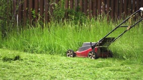 Zeitlupe, die Gras mit elektrischem Rasenmäher schneidet stock video footage Zeitlupe, die Gras mit elektrischem Rasenmäher schneidet stock video footage