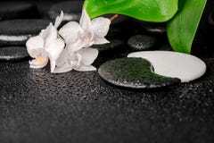Zen- och Yin-Yang stenar, vit orkidé, grönt blad arkivfoton Zen- och Yin-Yang stenar, vit orkidé, grönt blad arkivfoton