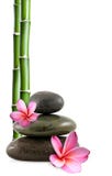 Zen stones, flowers and bamboo