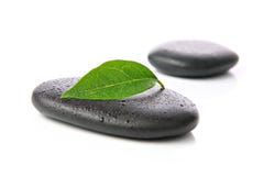 Zen stones with leaf