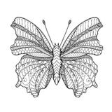 Zentangle stylized butterfly. stock illustration Zentangle stylized butterfly. stock illustration