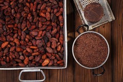 Zerriebene dunkle Schokolade im Zinn mit Kakaobohnen und festem Stück herein lizenzfreie stockfotos Zerriebene dunkle Schokolade im Zinn mit Kakaobohnen und festem Stück herein lizenzfreie stockfotos