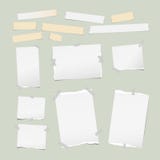 Zerrissene weiße Anmerkung, Notizbuch, Schreibheftpapierstreifen, klebriger, Klebstreifen, fester hellgrüner Hintergrund lizenzfreie abbildung Zerrissene weiße Anmerkung, Notizbuch, Schreibheftpapierstreifen, klebriger, Klebstreifen, fester hellgrüner Hintergrund lizenzfreie abbildung