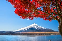 Zet Fuji, Japan op stock foto's Zet Fuji, Japan op stock foto's