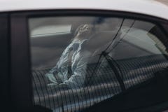Zevenjarige charmante meisjesslaap in een de autozetel van kinderen stock fotografie Zevenjarige charmante meisjesslaap in een de autozetel van kinderen stock fotografie
