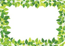 zieleń liść ilustracja wektor zieleń liść ilustracja wektor