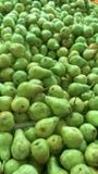 Zielone owoc zdjęcia stock Zielone owoc zdjęcia stock