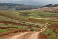 Zig zag road pass trough agriculture area of Inca people, Cusco, Peru royalty free stock photos Zig zag road pass trough agriculture area of Inca people, Cusco, Peru royalty free stock photos