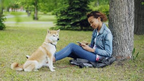 Zijaanzicht van mooi gemengd rasmeisje die smartphone het ontspannen in park gebruiken onder boom terwijl haar leuke hond van shi stock videobeelden Zijaanzicht van mooi gemengd rasmeisje die smartphone het ontspannen in park gebruiken onder boom terwijl haar leuke hond van shi stock videobeelden