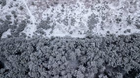 Zima las po odgórnego widoku od quadcopter i Powietrzna ankieta obraz royalty free Zima las po odgórnego widoku od quadcopter i Powietrzna ankieta obraz royalty free