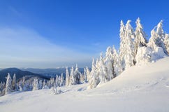 Zimny zima słoneczny dzień Tajemniczy, tajny, fantastyczny, świat góry Na gazonie zakrywającym z śniegiem ładni drzewa zdjęcie royalty free Zimny zima słoneczny dzień Tajemniczy, tajny, fantastyczny, świat góry Na gazonie zakrywającym z śniegiem ładni drzewa zdjęcie royalty free