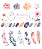Zimy kwiecista kolekcja z 29 akwarela elementami ilustracji Zimy kwiecista kolekcja z 29 akwarela elementami ilustracji
