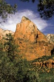 Zion National Park Utah Mountain-Szene stockbilder Zion National Park Utah Mountain-Szene stockbilder